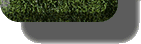 menu.gif (2285 bytes)